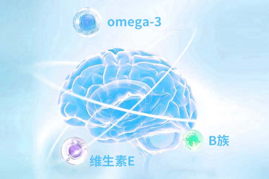 大脑，气泡上是B族、omega-3、维生素E.jpg