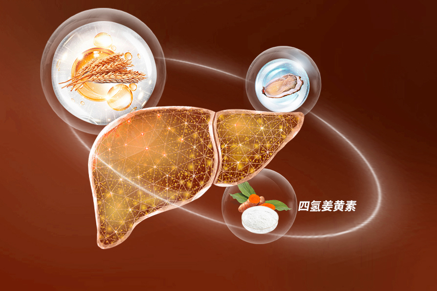 小麦、牡蛎、姜黄修复肝脏.jpg