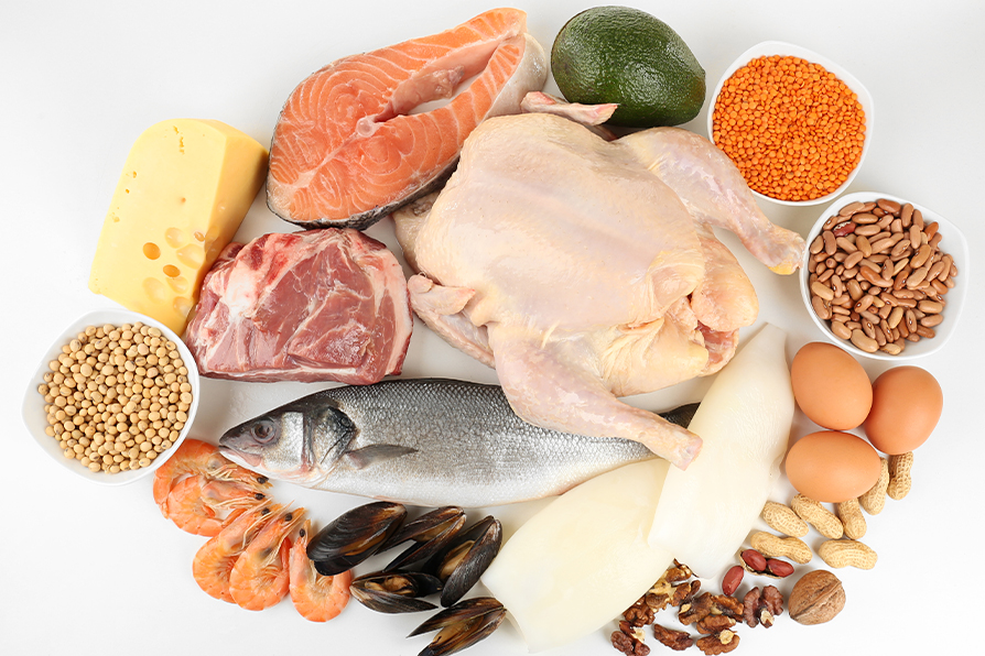 鱼、禽肉、豆类等优质蛋白.jpg