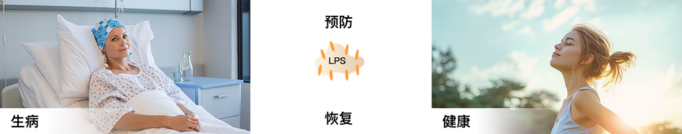 吞噬细胞活性化流程图