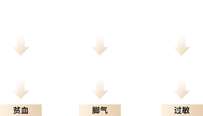 历史时间线