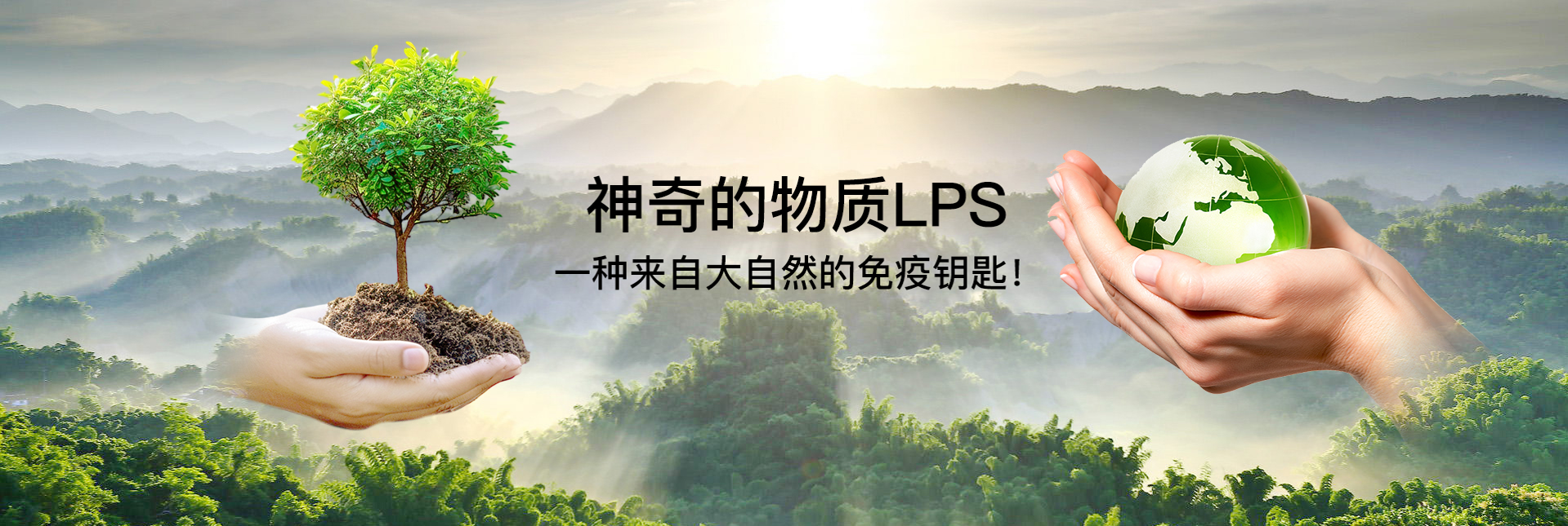 健康年轻 长寿之源 —专注自然免疫研究50年—