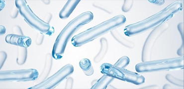 小麦乳酸泛菌衍生LPS (Somacy-FP100)的安全性