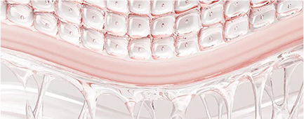 脂多糖激活的巨噬细胞抑制人真皮成纤维细胞衰老并促进其再生