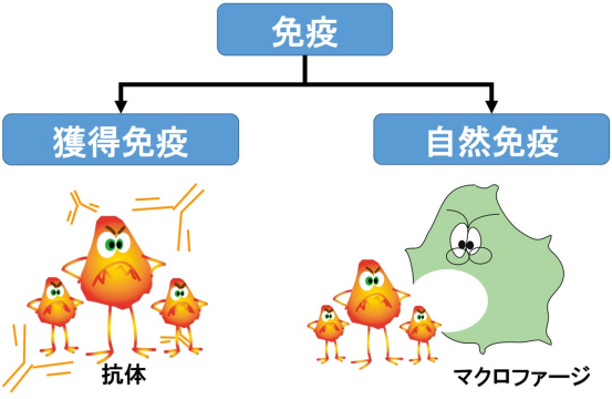 三茘生物.png