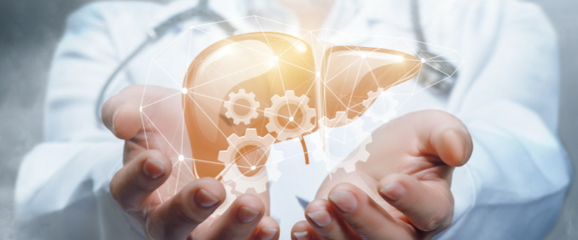 四氢姜黄素：天然护肝新选择，轻松破解脂肪肝困局！