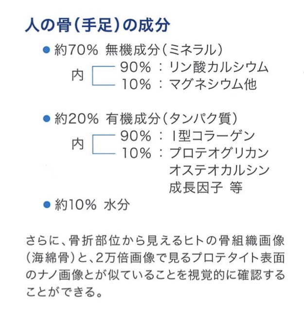 人体骨骼（四肢）成分.png