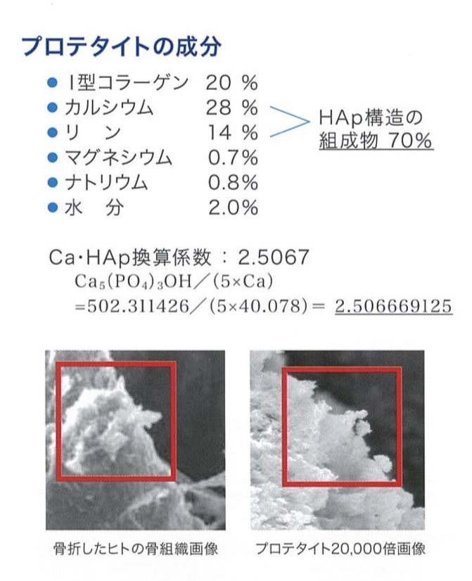 Protetite成分.png