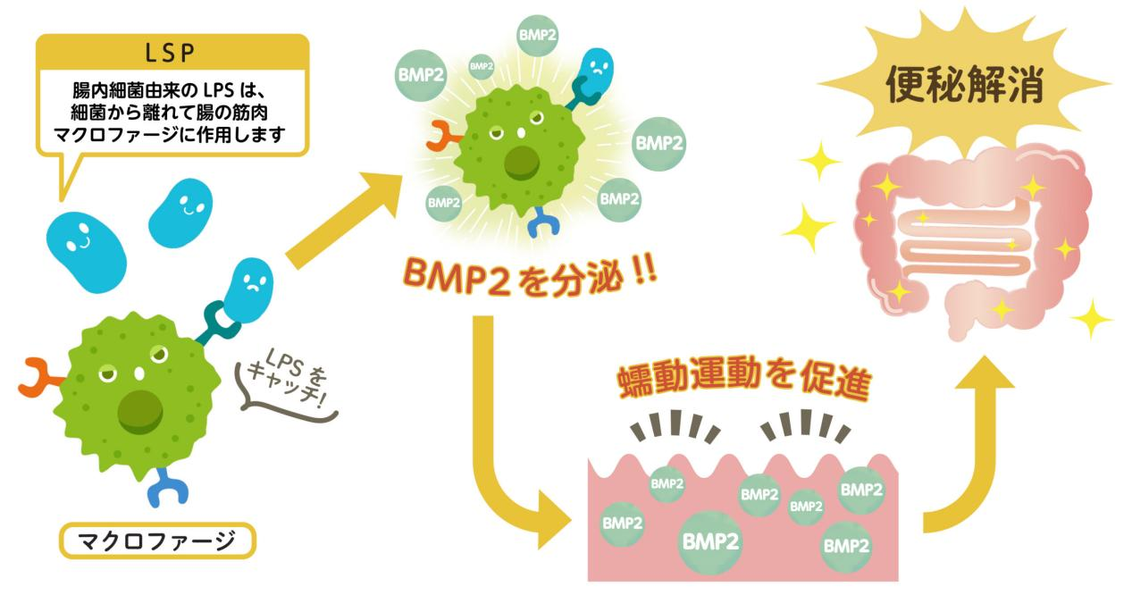 三茘生物.png
