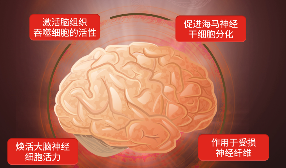 三茘生物.png