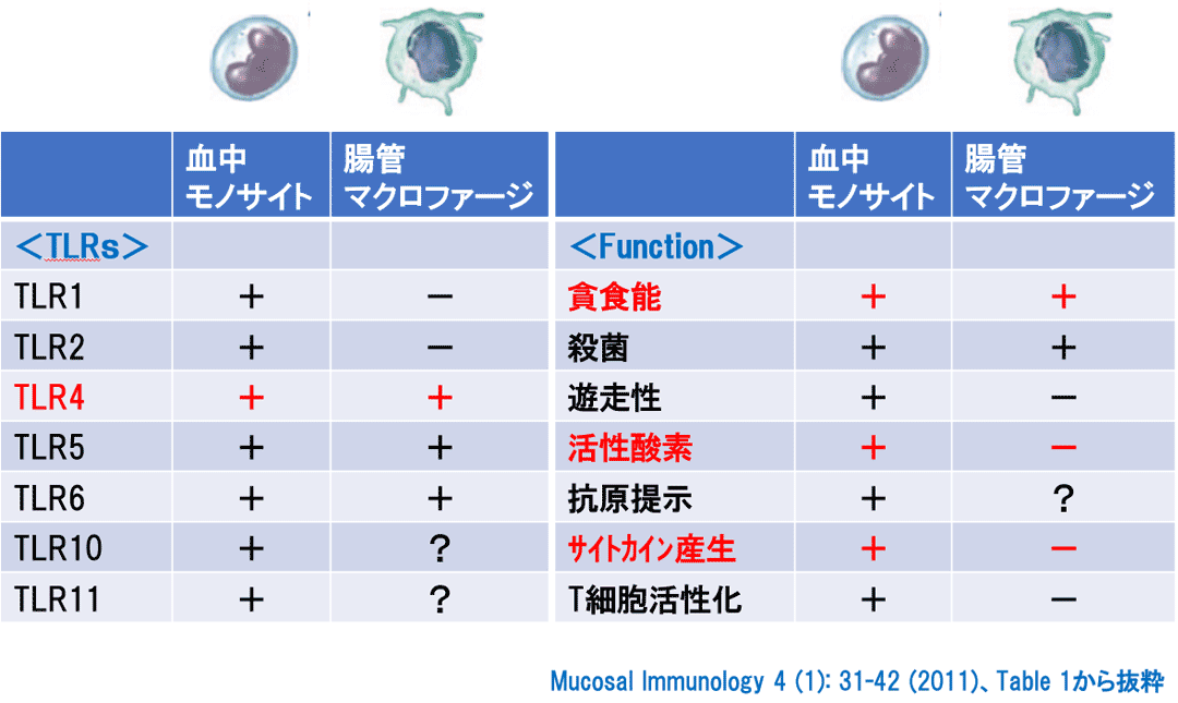 体内的细胞与皮肤和消化道的细胞对LPS的响应性不同.gif