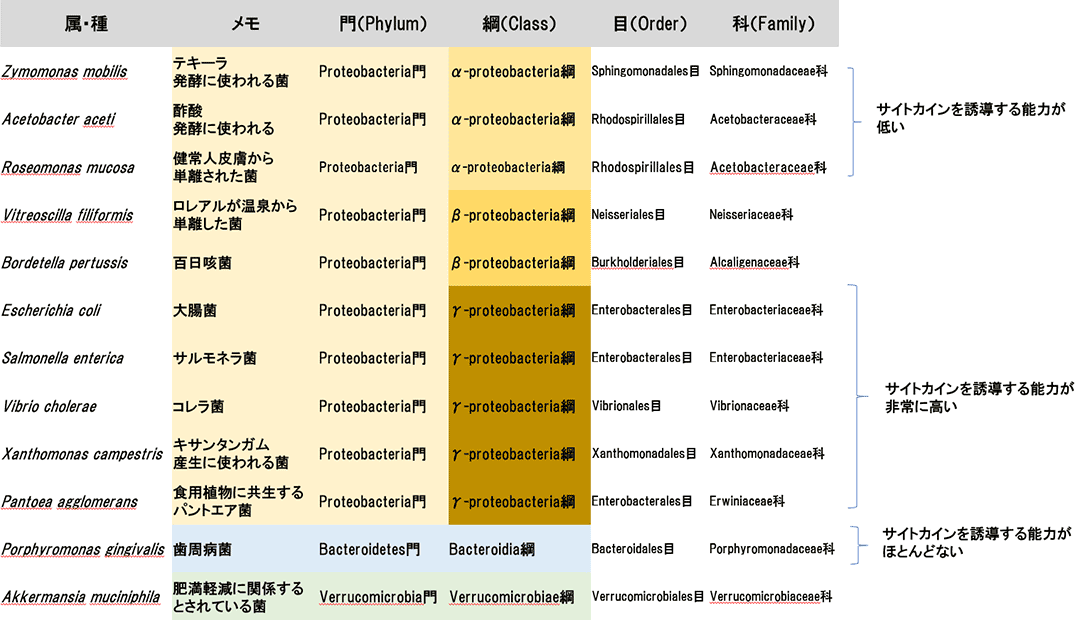 革兰氏阴性菌的种类及LPS泛菌糖脂质的特性.gif