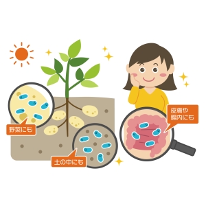 LPS无处不在！它存在于哪些地方？哪些食物富含LPS？