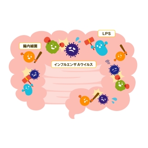 LPS能有效预防流感吗？它的作用机制是什么？