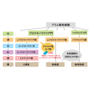 醋酸菌脂多糖（LPS）有哪些特性？它或许还能有效预防花粉症！