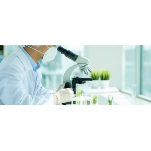 免疫球蛋白对提升机体抵抗力的积极作用
