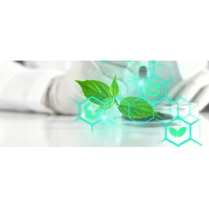 从部落葫芦杯到实验室显微镜｜马黛茶：被科学重新发现的温和能量